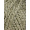 Laine Lang Yarns ANOUK 776.0026