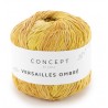 Coton Katia Versailles Ombré 200 Coton Katia Versailles Ombré 200